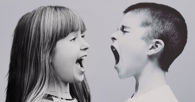 Rivalité frères et sœurs : 10 stratégies concrètes pour gérer les conflits au quotidien